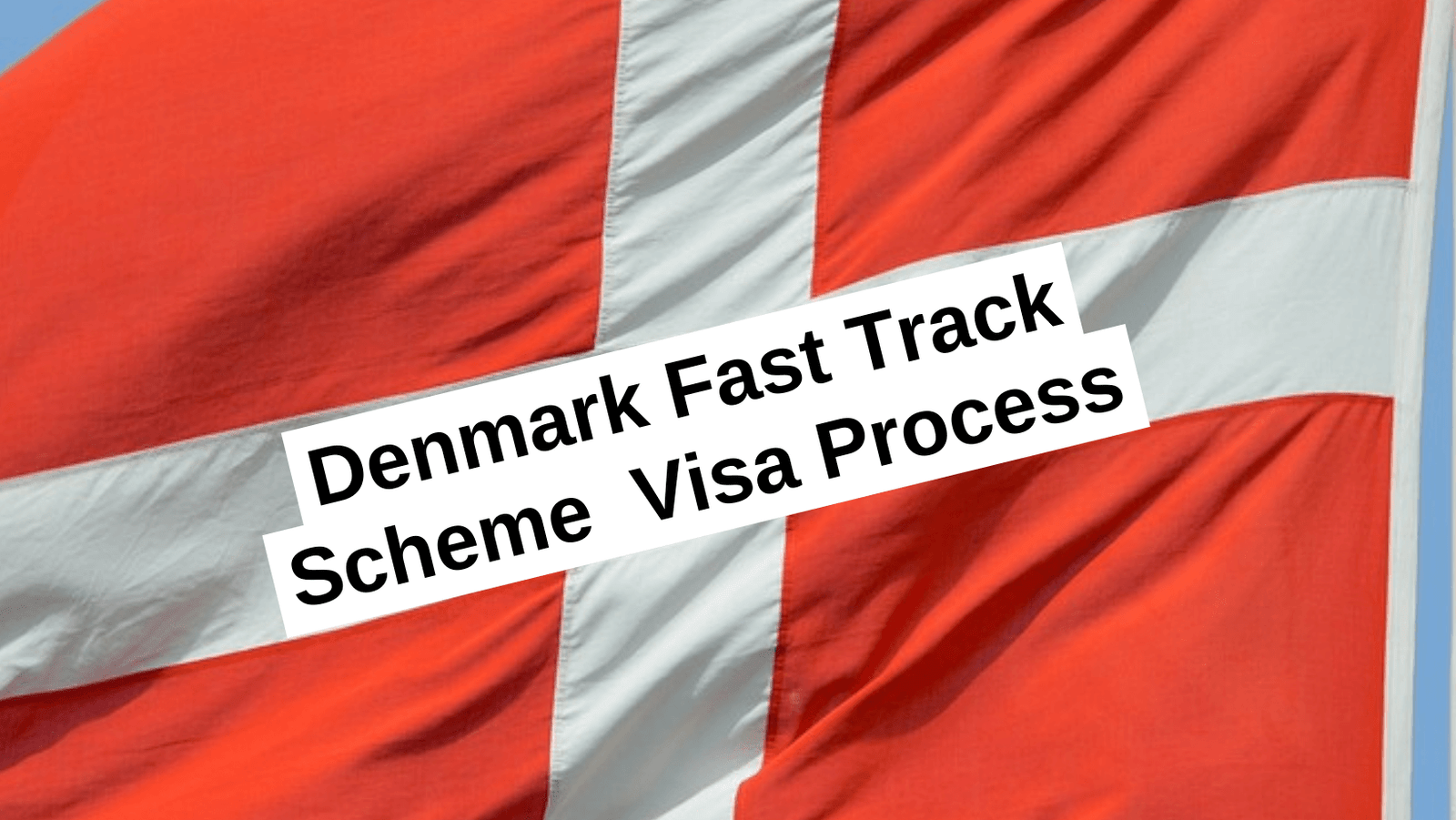 Denmark Fast Track Scheme Process guidelines