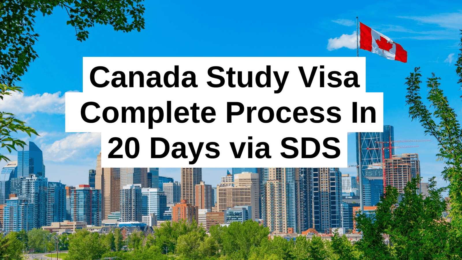 How to Get Canada Study Visa through Student Direct Stream in 20 Days Canadian study permit